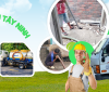 Hút Bể Phốt Uy Tín Ở Hòa Thành
